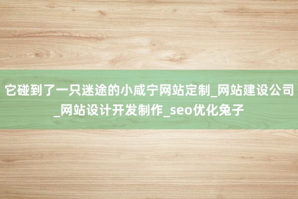 它碰到了一只迷途的小咸宁网站定制_网站建设公司_网站设计开发制作_seo优化兔子